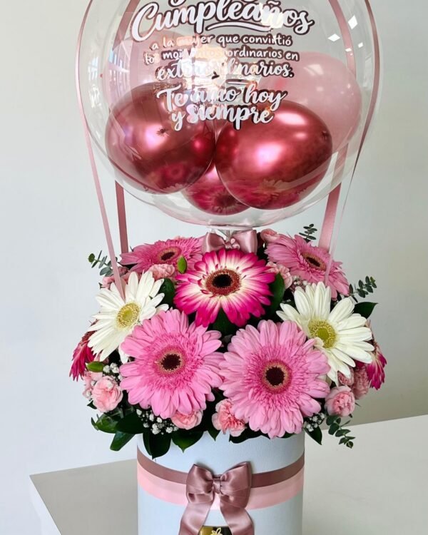 Aerostático – Gerberas